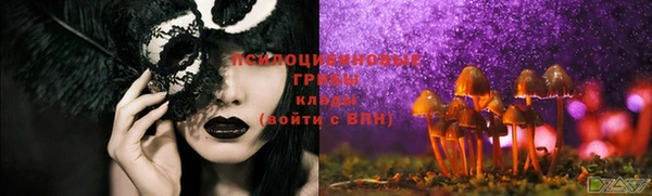 spice Богородицк