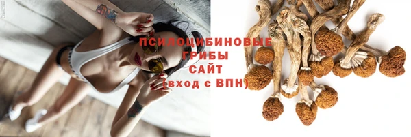винт Володарск
