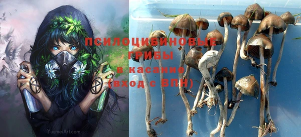 дмт Волоколамск