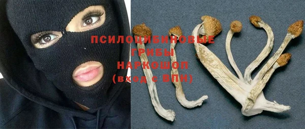 дмт Волоколамск