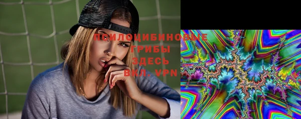 шишки Верхнеуральск