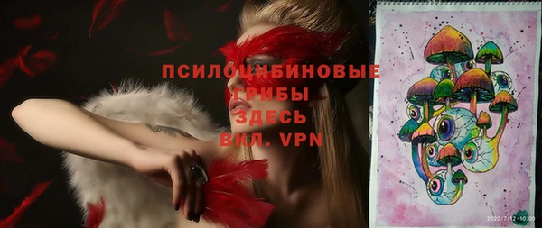 молекула духа Верхний Тагил