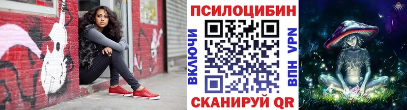 Псилоцибиновые грибы Psilocybe  магазин продажи наркотиков  Исилькуль 